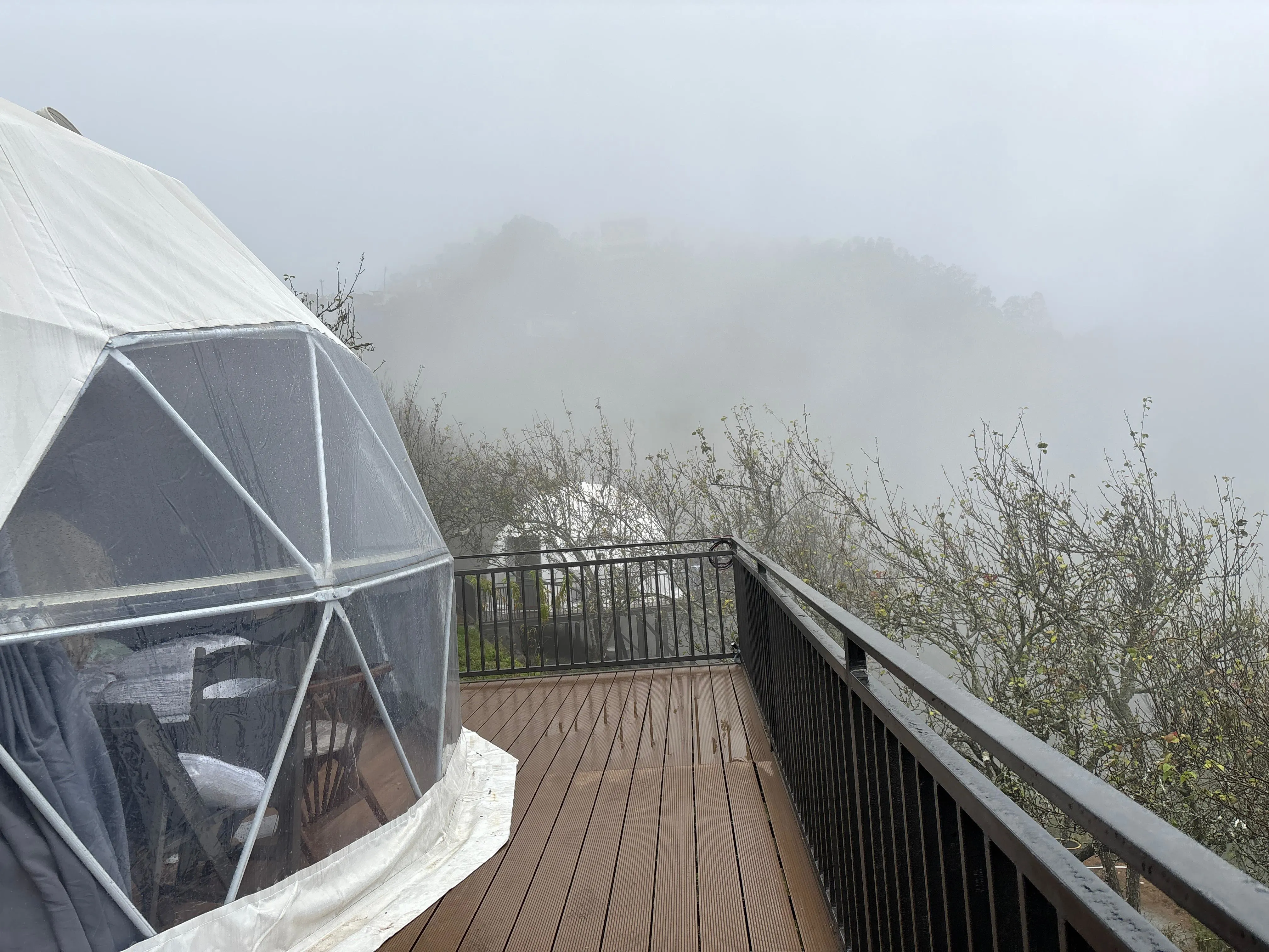 Luxury honeymoon dome stay experience in Kodaikanal
