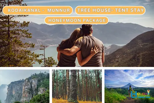 Munnar tree house stay honeymoon