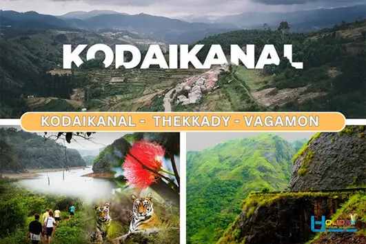 Vagamon green meadows honeymoon trip