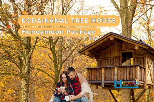 Tree house stay for couples in Kodaikanal forest